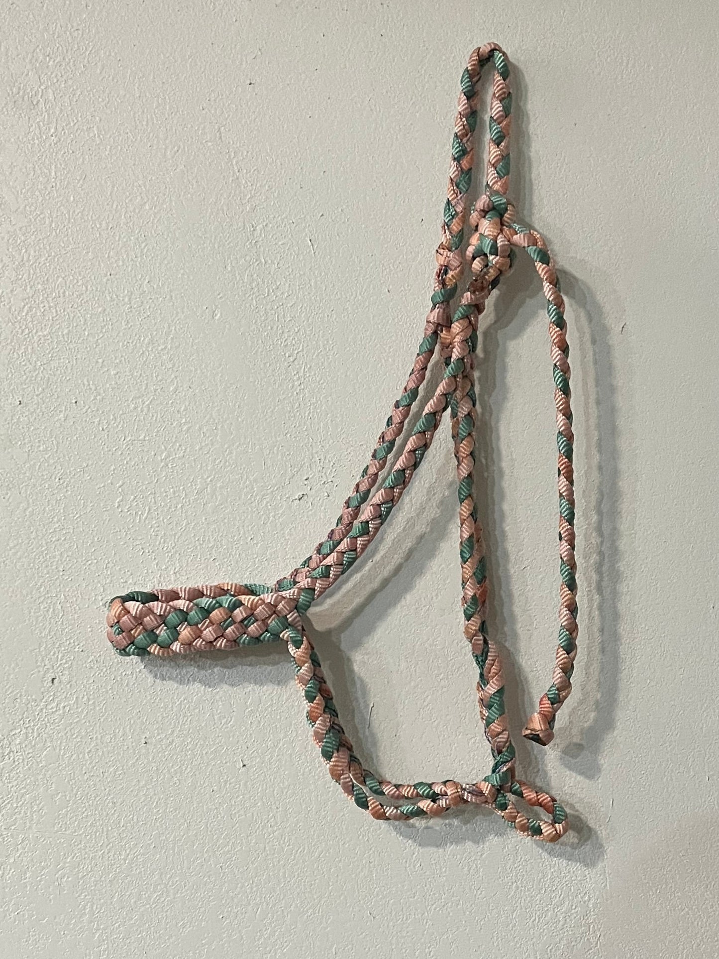 6 Strand Muletape Halter Multi-colored