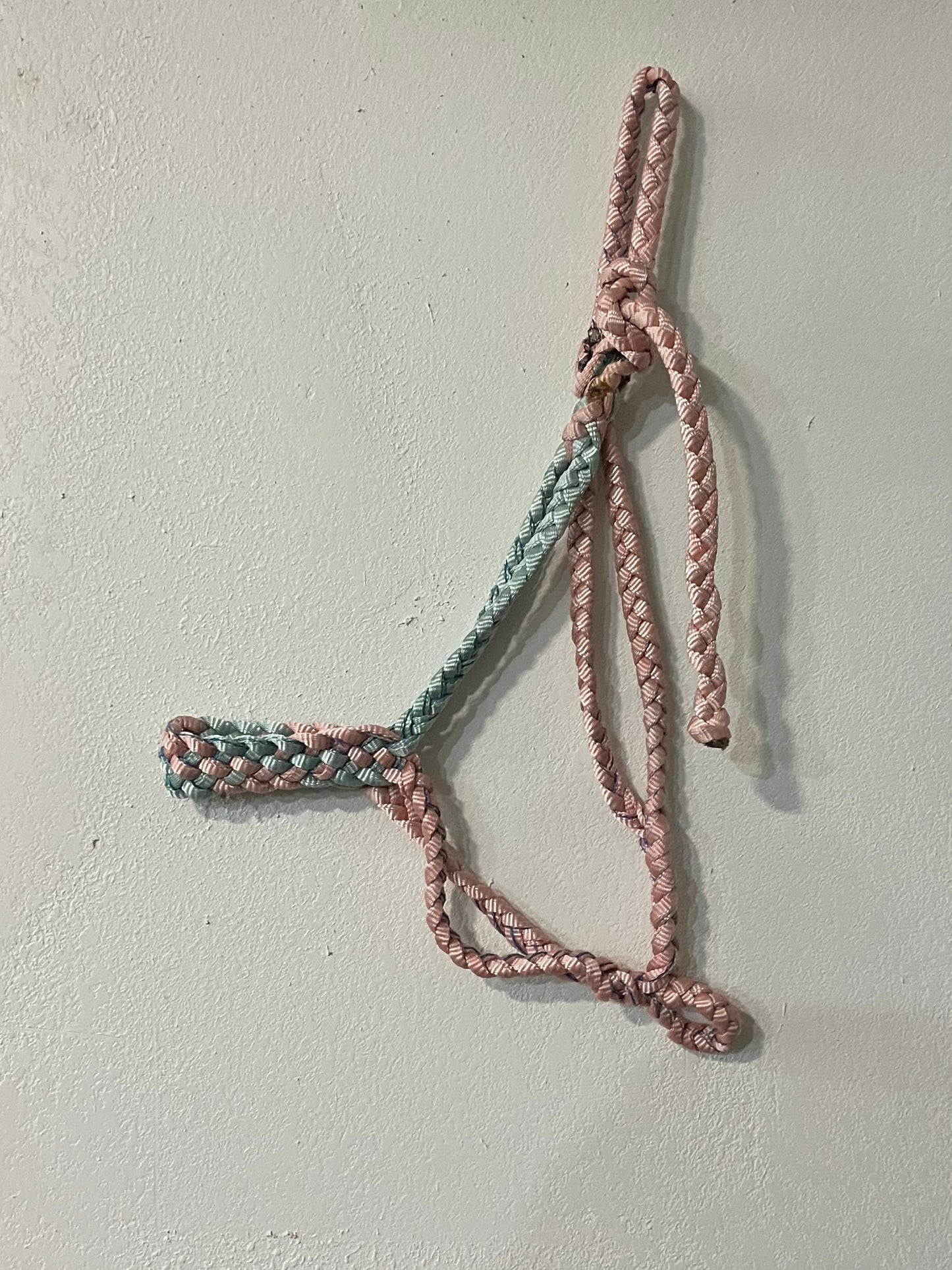 6 Strand Muletape Halter Multi-colored